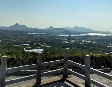 平度大澤山葡萄園引進(jìn)萊恩德土壤肥料檢測(cè)儀， 輕松掌握土壤營(yíng)養(yǎng)
